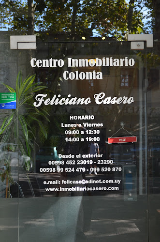 Feliciano Casero Negocios Inmobiliarios - Colonia