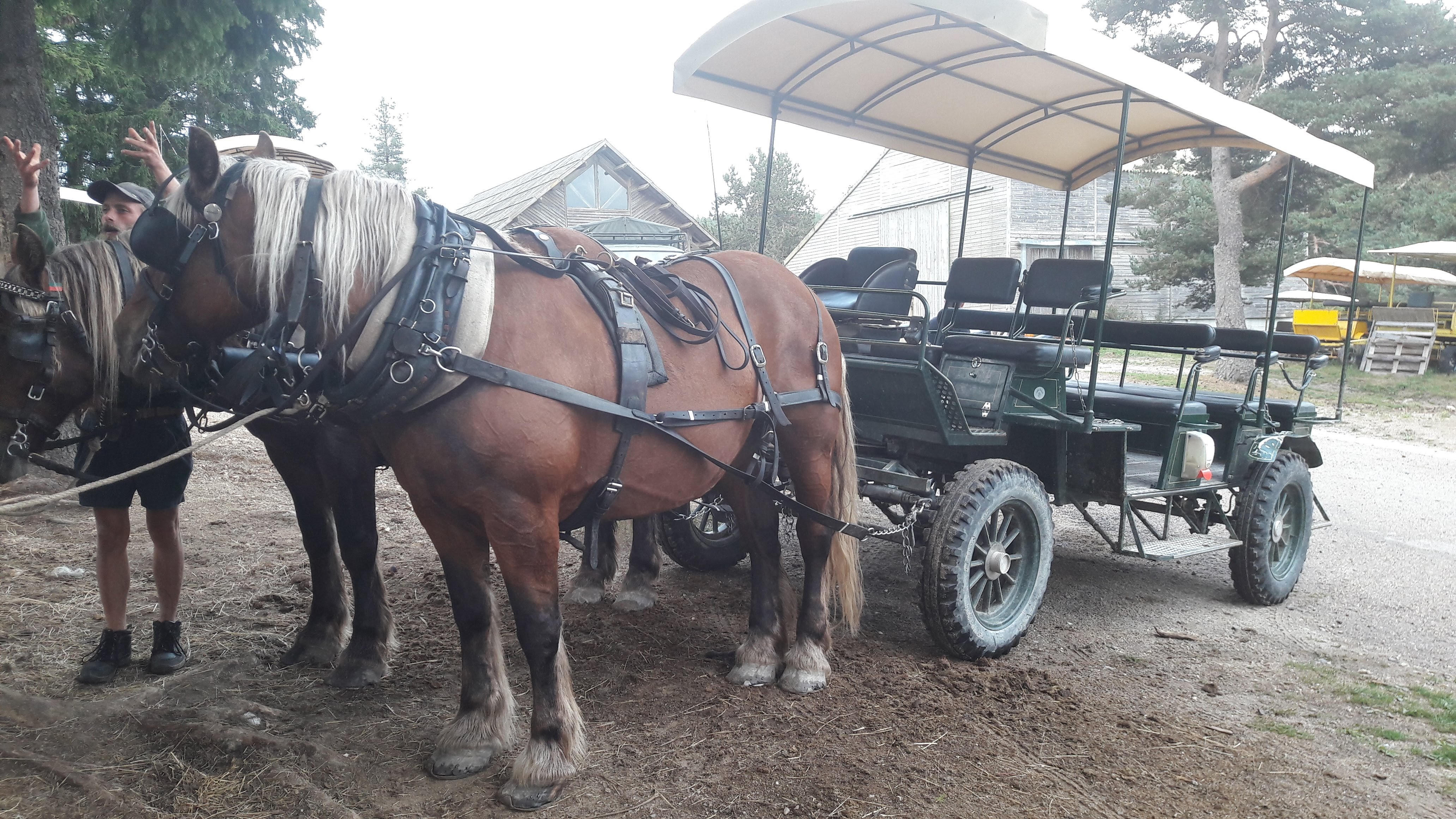 Photo n° 1 de l'avis de Hervé.E fait le 28/08/2022 à 19:01