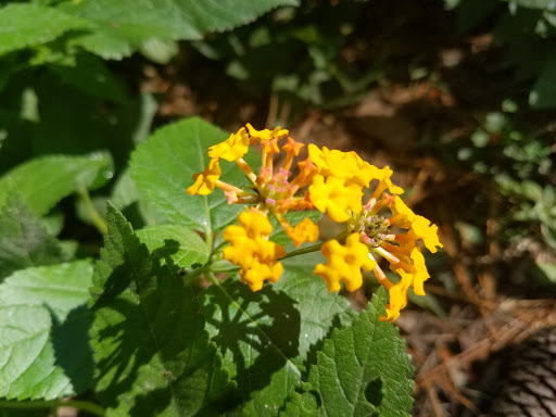 Park «Little Nancy Creek Park», reviews and photos, 4012 Peachtree Dunwoody Rd, Atlanta, GA 30342, USA