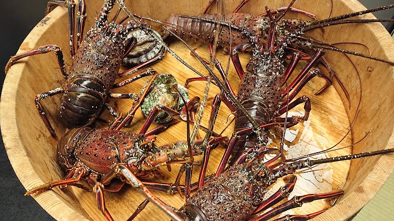 うまし宿 漁亭 美乃島 三重県紀北町古里 旅館 グルコミ