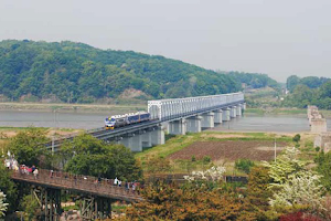 Bridge of Freedom image