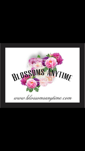 Florist «Blossoms Anytime», reviews and photos, 3152 N Paulina St, Chicago, IL 60657, USA