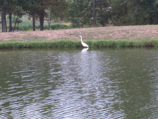 Golf Course «Turtle Creek Golf Course», reviews and photos, 303 W Ridge Pike, Limerick, PA 19468, USA