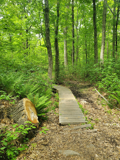 State Park «Borderland State Park», reviews and photos, 259 Massapoag Ave, North Easton, MA 02356, USA