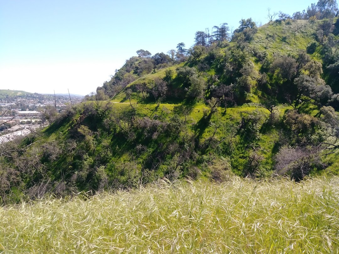 Elysian Park Adaptive Recreation Center