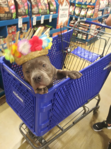 Pet Supply Store «PetSmart», reviews and photos, 2770 FM 365 c, Port Arthur, TX 77640, USA