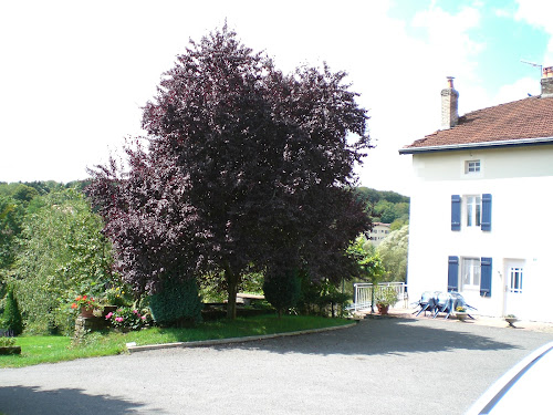 Lodge Gite THOMAS La Vôge-les-Bains