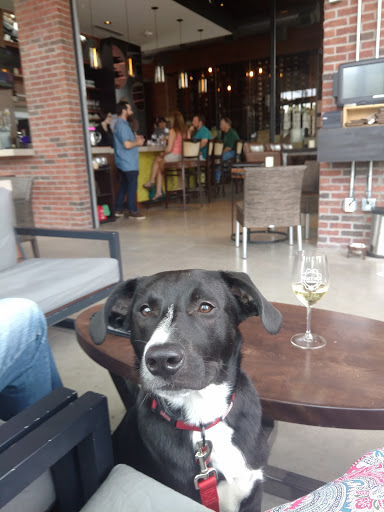 Wine Bar «Kent & Co. Wines», reviews and photos, 1101 W Magnolia Ave, Fort Worth, TX 76104, USA