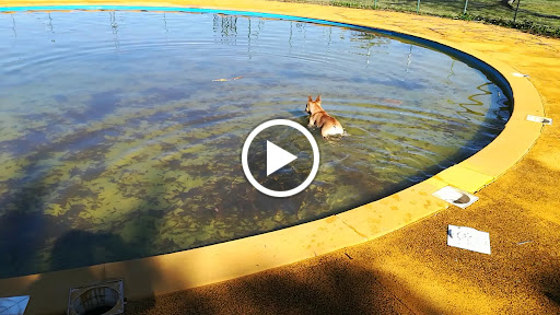 Piscina Municipal en Zalamea la Real, Huelva