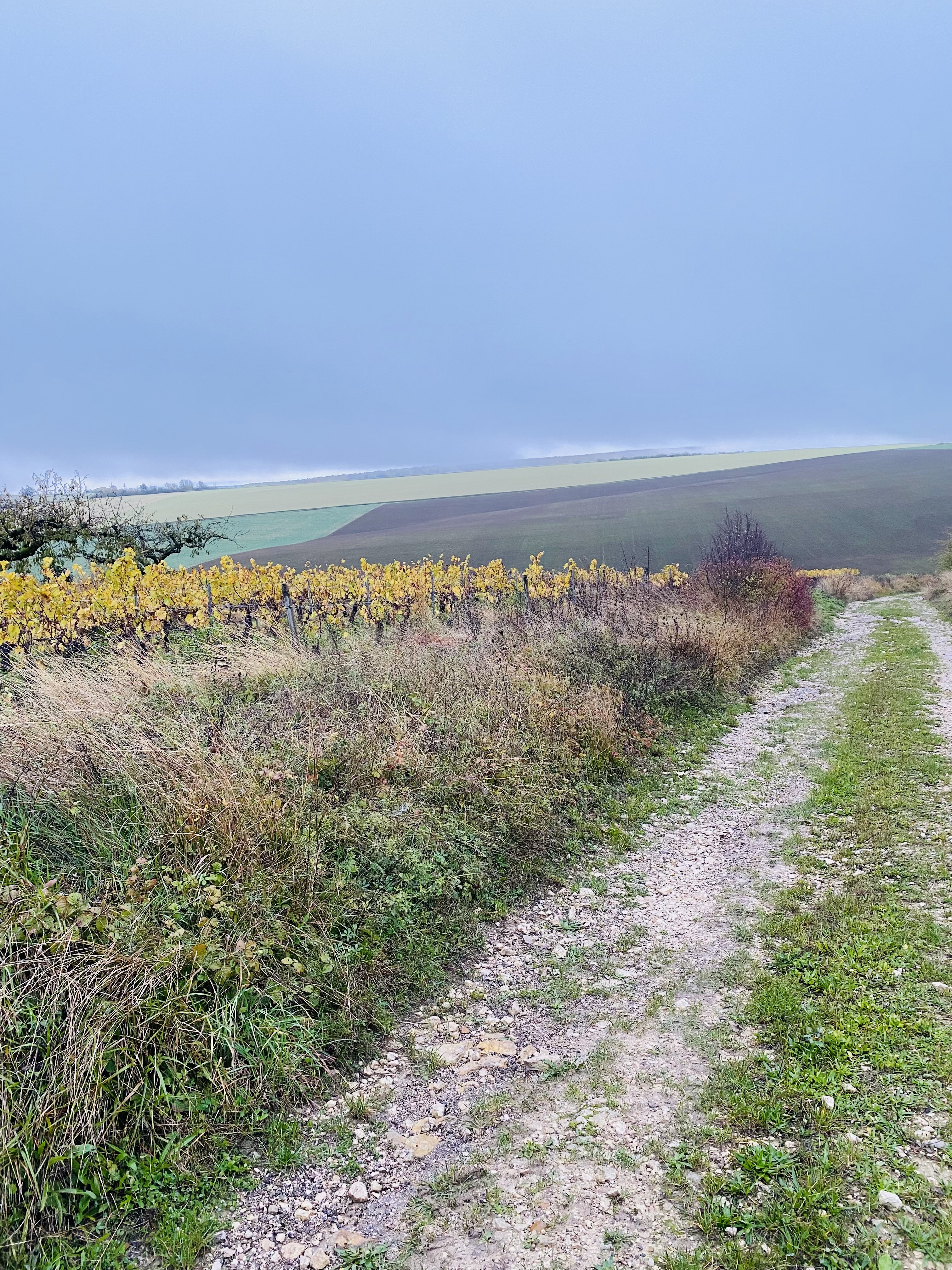 Photo n° 2 de l'avis de Anne-Michèle.h fait le 13/11/2023 à 06:21