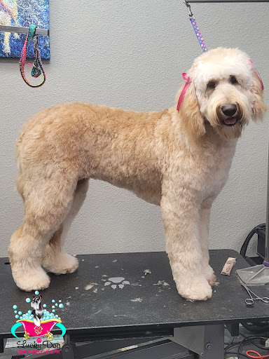 Dog Day Care Center «Lucky Dog Boutique & Spa», reviews and photos, 4503 Chumuckla Hwy, Pace, FL 32571, USA