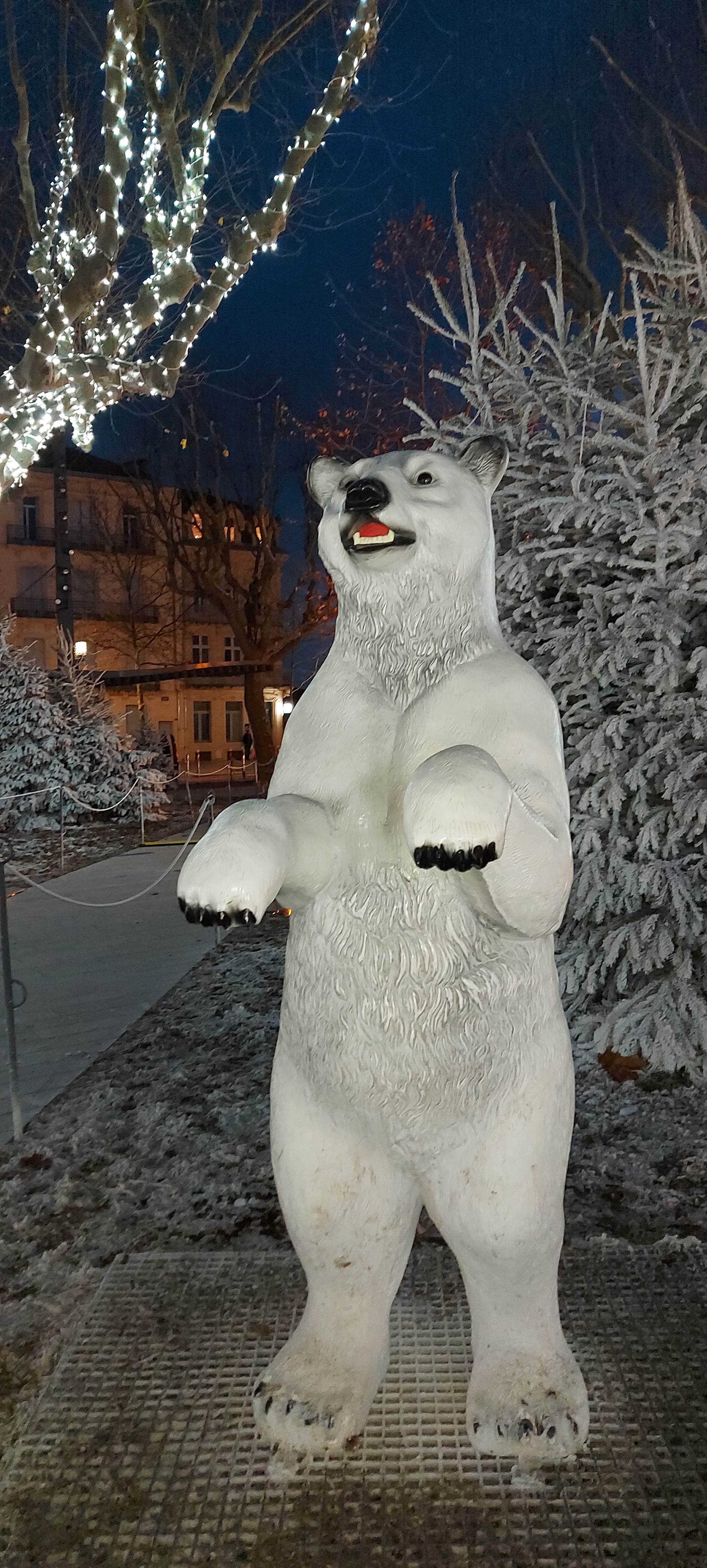 Photo n° 2 de l'avis de Annick.e fait le 29/12/2021 à 17:01