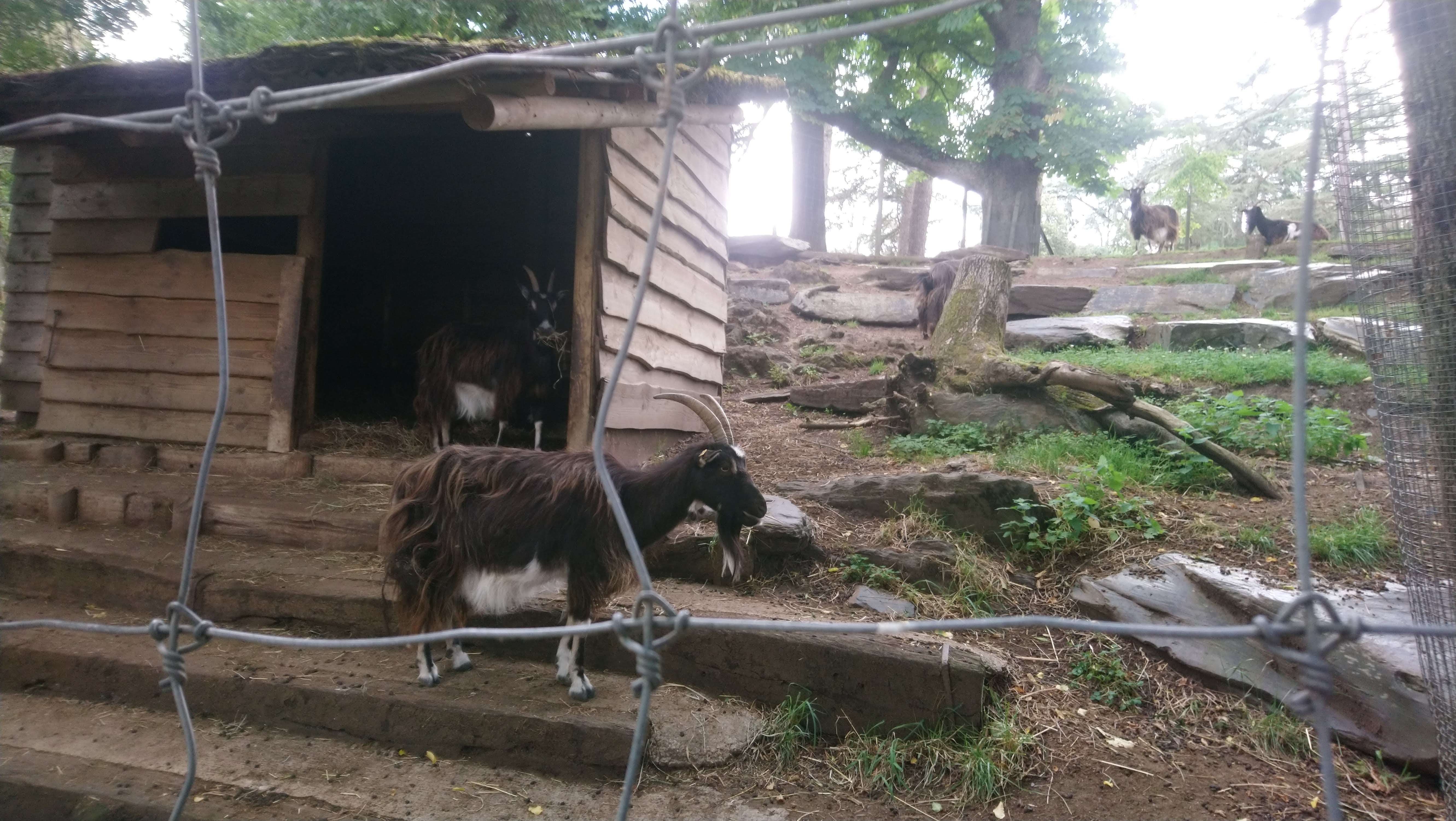 Photo n° 12 de l'avis de Manuel.g fait le 27/06/2022 à 18:06