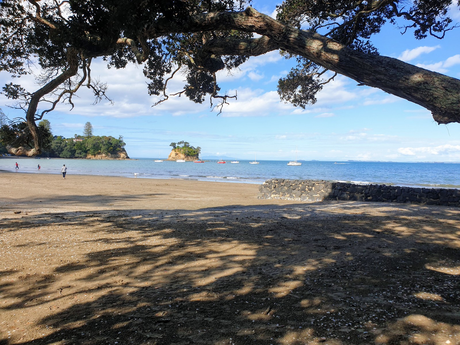 Foto van Waiake Beach met ruime baai
