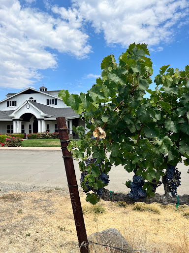Winery «Hannah Nicole Vineyards & Winery», reviews and photos, 6700 Balfour Rd, Brentwood, CA 94513, USA