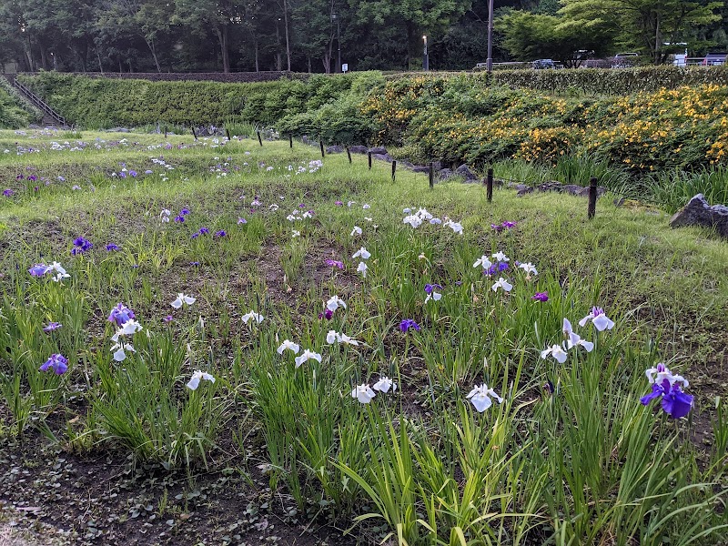 中沢池公園