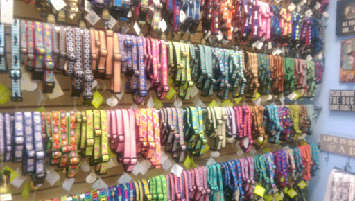 Pet Groomer «Animal House», reviews and photos, 705 Asbury Ave, Ocean City, NJ 08226, USA