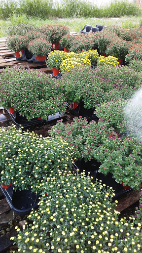 Landscaper «Landscape Source», reviews and photos, 167 Ole W Ln, Rockwall, TX 75087, USA