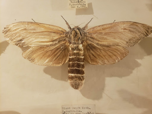 Museum «May Natural History Museum», reviews and photos, 710 Rock Creek Canyon Rd, Colorado Springs, CO 80926, USA