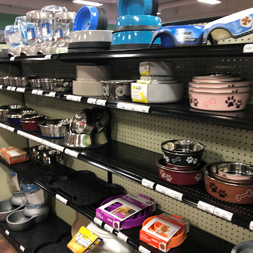 Pet Store «Choice Pet Market», reviews and photos, 2915 W Ray Rd, Chandler, AZ 85224, USA