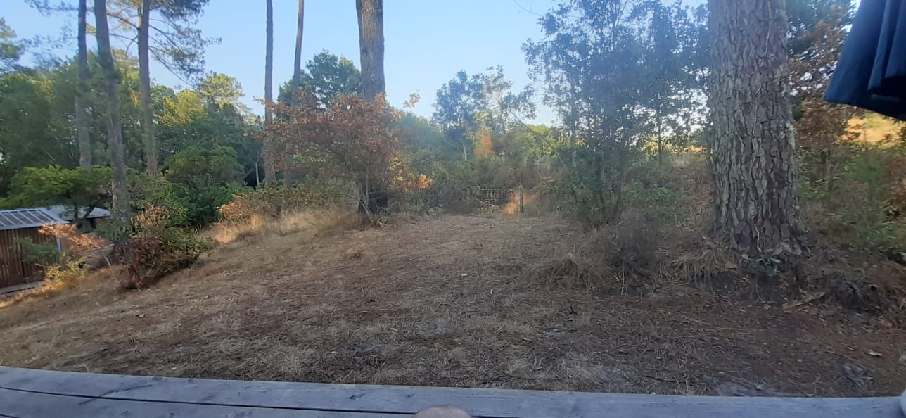 Photo n° 4 de l'avis de Clément.r fait le 16/08/2020 à 00:43