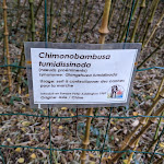 Photo n° 18 de l'avis de Christophe.O fait le 19/10/2020 à 07:58 pour Arboretum de la Martinière à Veigné