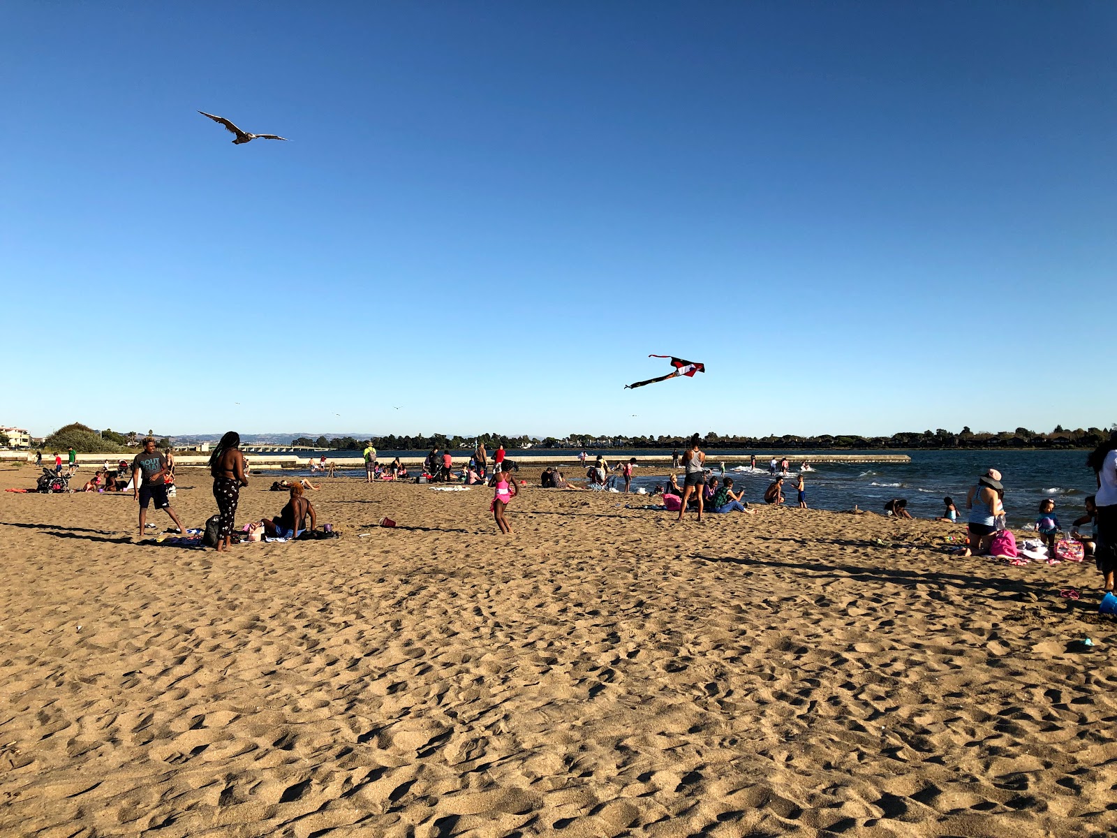 Photo of Alameda beach with long straight shore