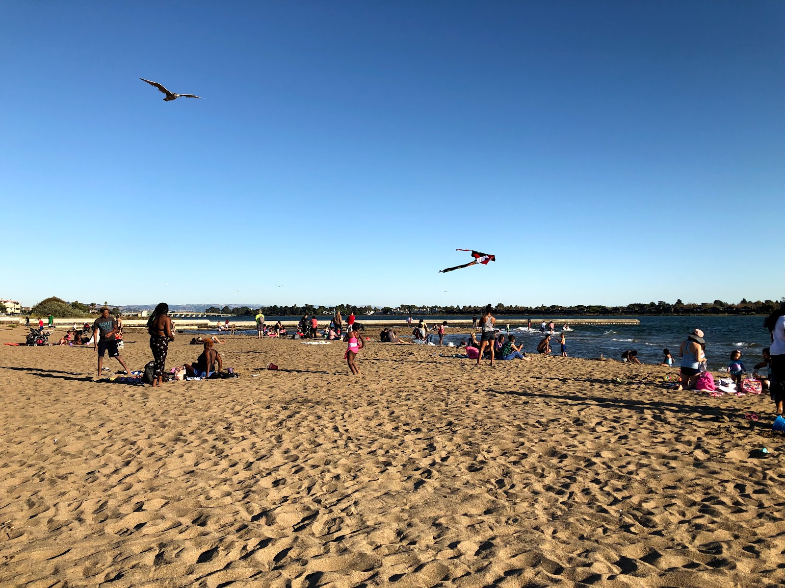 Foto von Alameda beach mit sehr sauber Sauberkeitsgrad