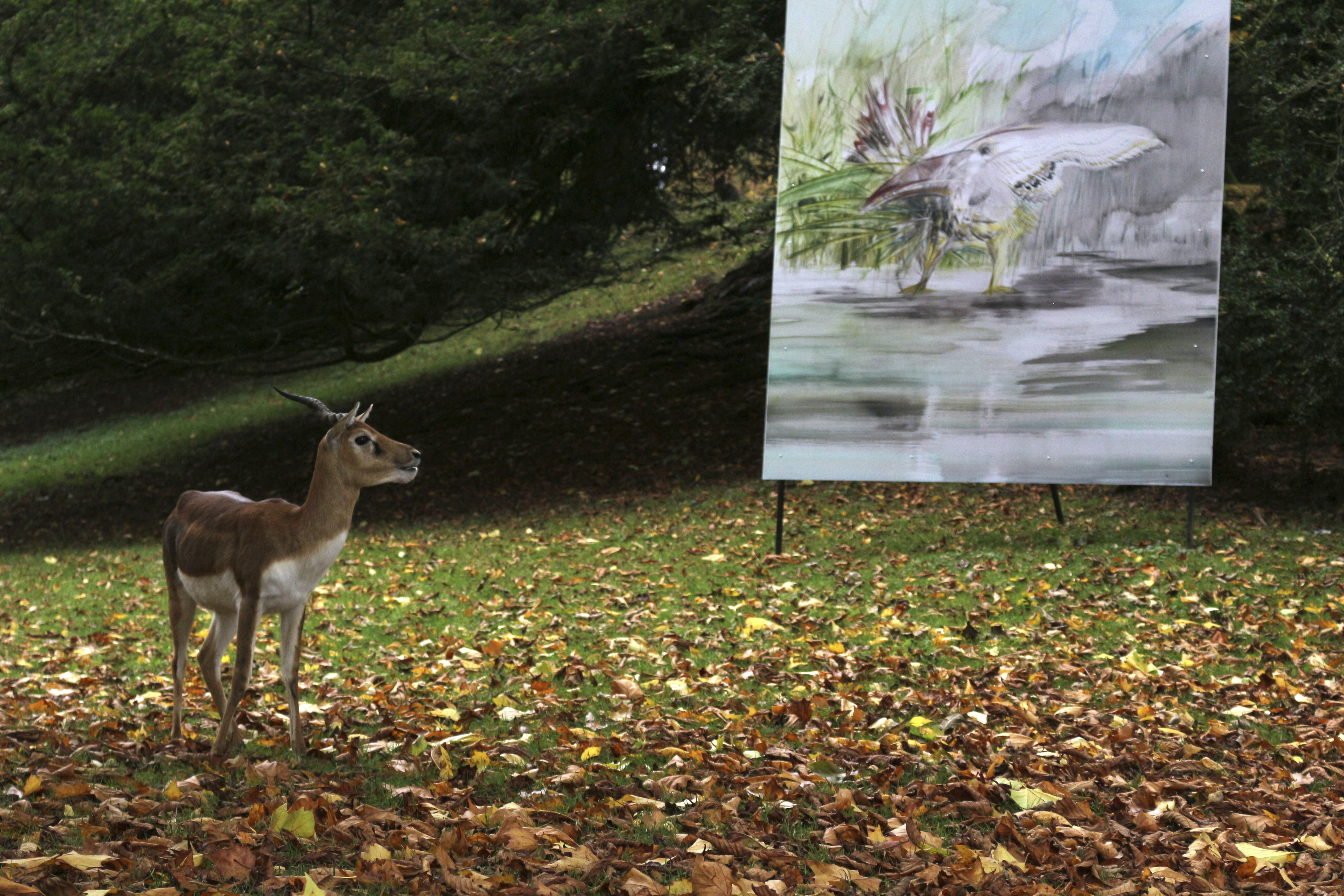 Photo n° 26 de l'avis de Laurent. fait le 05/08/2022 à 12:06