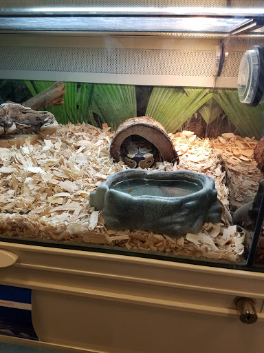 Pet Supply Store «PetSmart», reviews and photos, 7600 Edinger Ave, Huntington Beach, CA 92647, USA