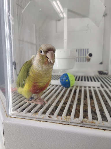 Pet Supply Store «PetSmart», reviews and photos, 7663 Arundel Mills Blvd, Hanover, MD 21076, USA