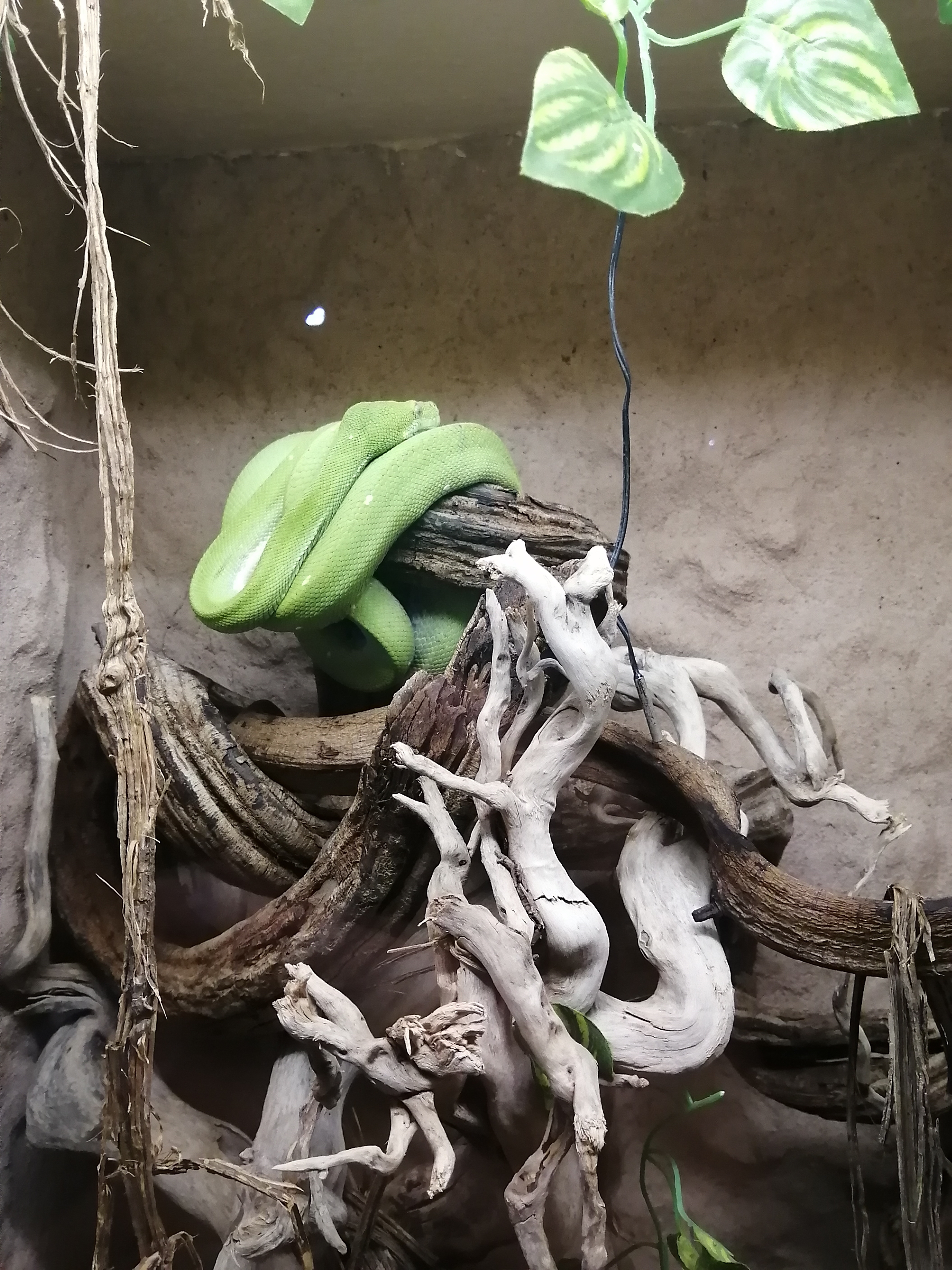 Photo n° 6 de l'avis de Mélissa.e fait le 31/10/2021 à 20:11