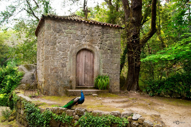 Mata do Fontelo - Campo de futebol