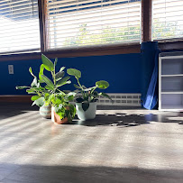 The Healing Space Yoga Collective - Photo 1 - Car repair in Wethersfield, CT, Hartford