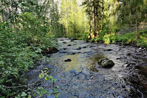 Kaukas Nature Trail image