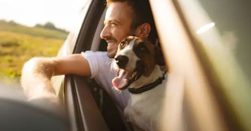 Insurance Agency «Thumann Agency, Inc», reviews and photos