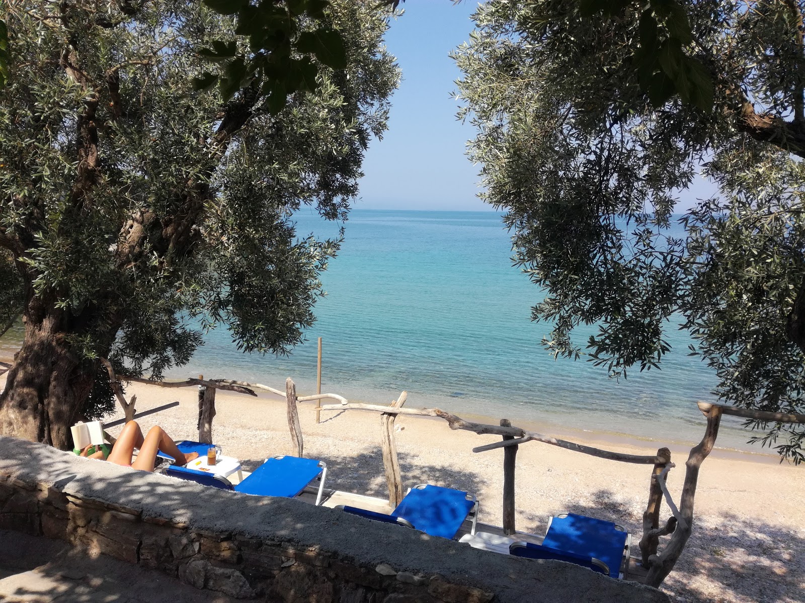 Foto de Olive beach localizado em área natural
