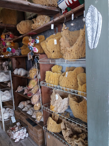 Shopping Mall «Tarpon Mall», reviews and photos, 40952 US-19, Tarpon Springs, FL 34689, USA