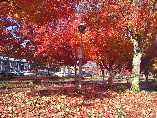 Market «Pybus Public Market», reviews and photos, 3 N Worthen St, Wenatchee, WA 98801, USA