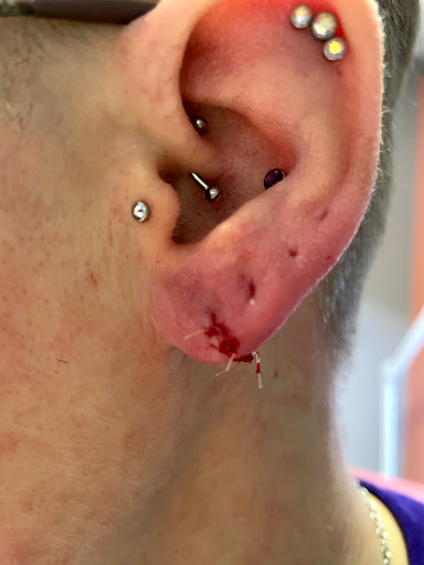 Explore small nature tattoo ideas, creative tattoo ideas in Kirksville, available at Properly Pierced