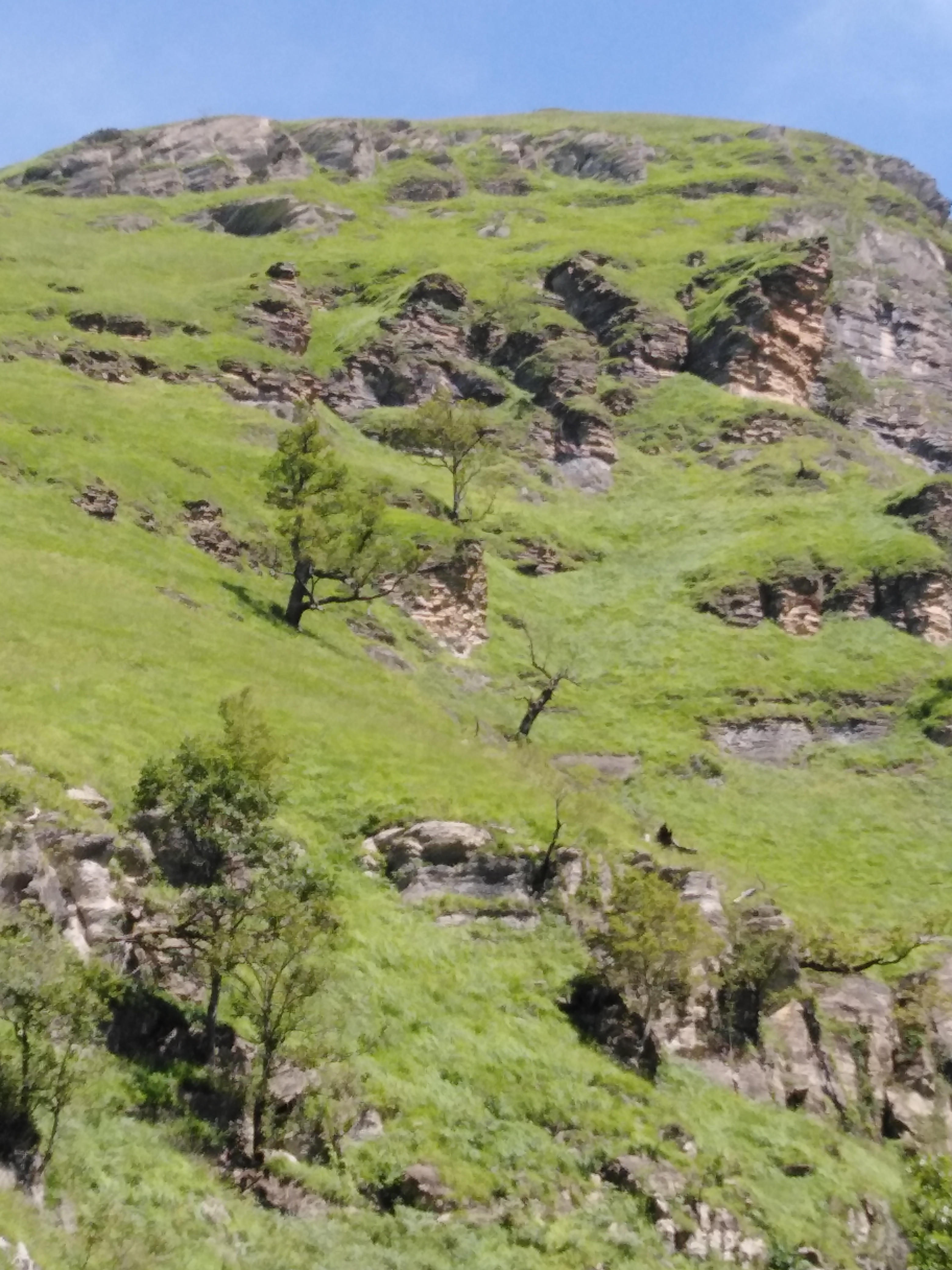 Photo n° 5 de l'avis de maguy.a fait le 21/08/2019 à 11:17