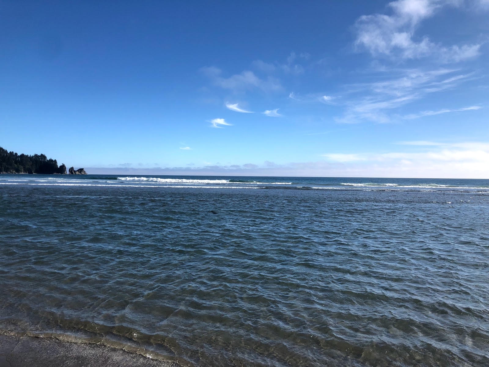 Foto von Second Beach Quileute Res. befindet sich in natürlicher umgebung
