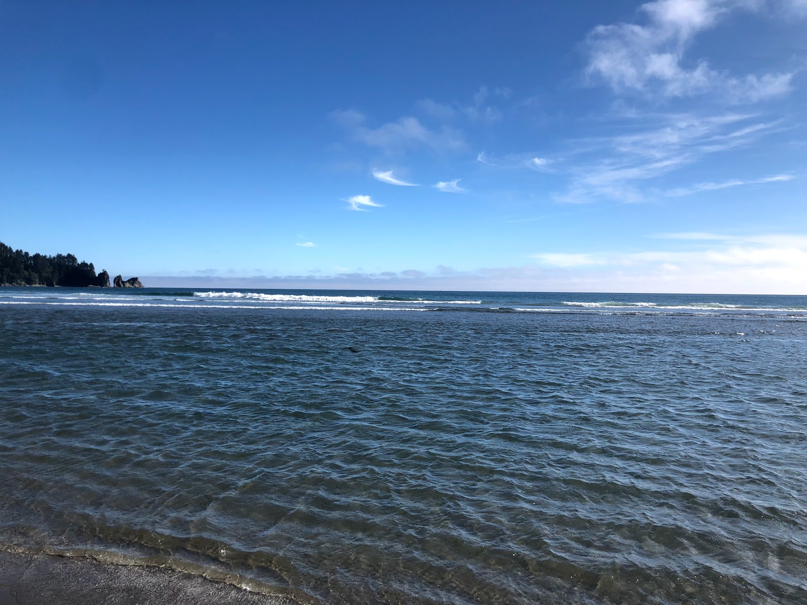 Valokuva Second Beach Quileute Res.ista. villi alue