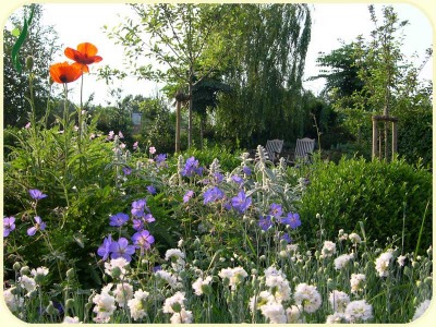 Rezensionen über Grob Gartenbau GmbH in Frauenfeld - Gartenbauer