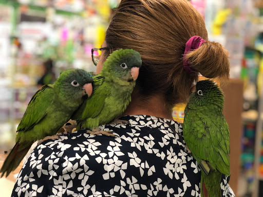 Pet Supply Store «Super Pet Store», reviews and photos, 5220 S Pulaski Rd, Chicago, IL 60632, USA