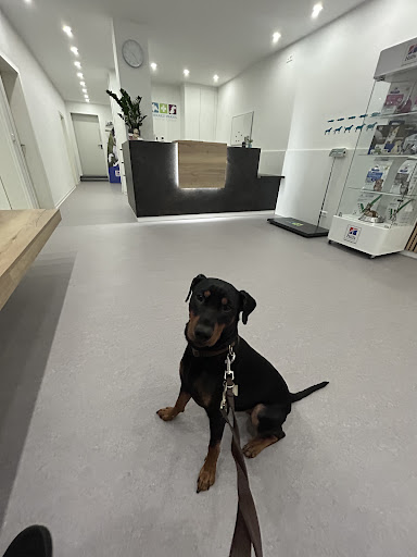 Tierarztpraxis Dr.med.vet. R.Kolbatz unter Neustrelitz, 