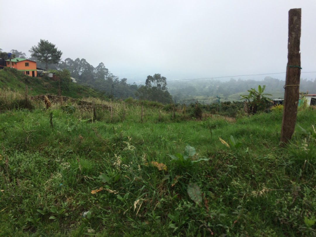 Nueva Acrópolis CEFA