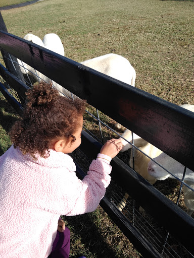 Wedding Venue «Rancho Alegre Farm», reviews and photos, 2225 Givens Rd, Dacula, GA 30019, USA