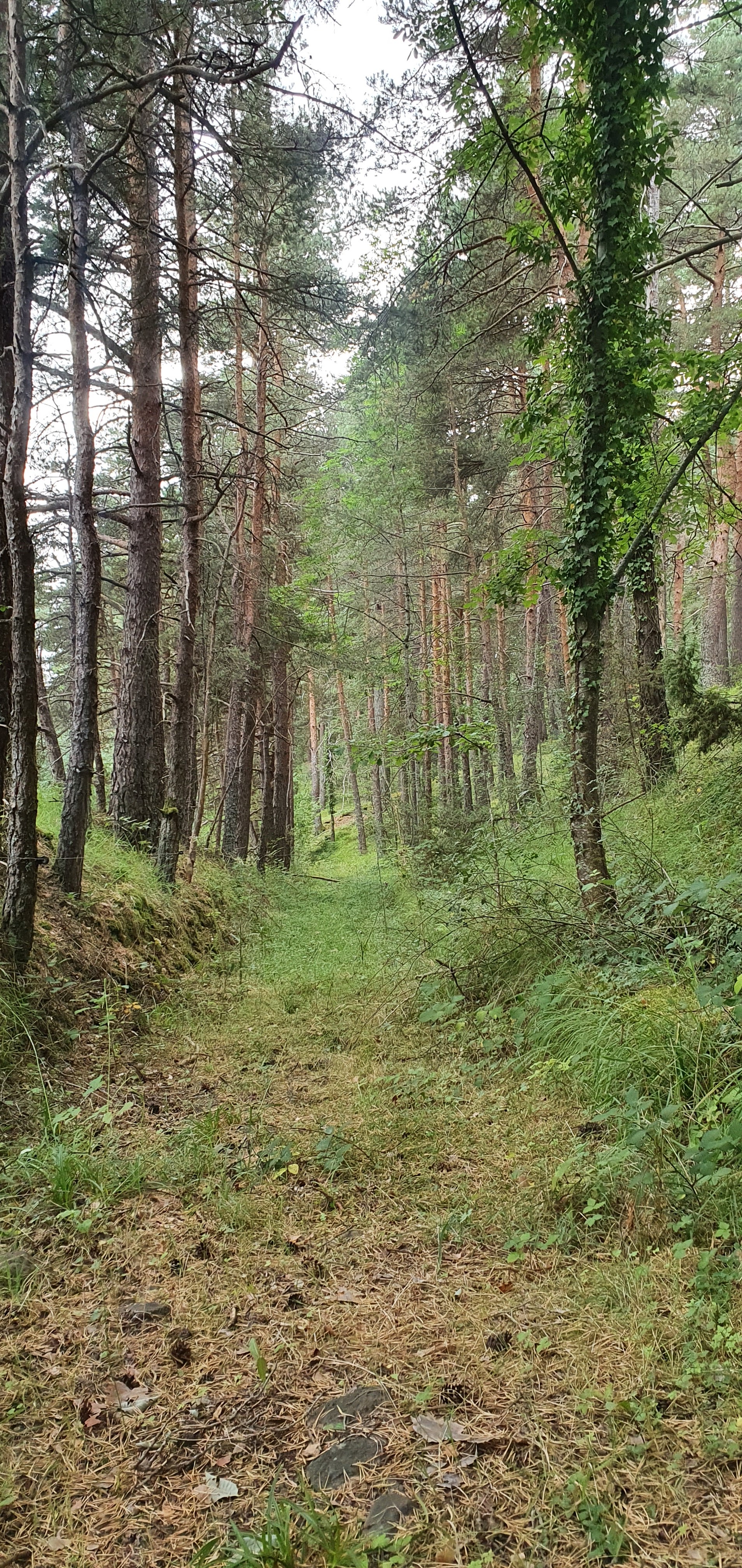 Photo n° 3 de l'avis de Nlw.r fait le 14/08/2020 à 23:10
