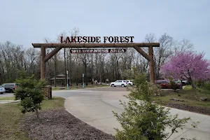 Lakeside Forest Wilderness Area image